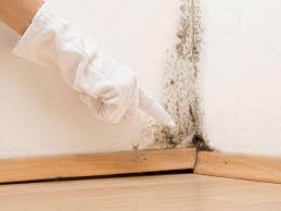  Austintown, OH Mold Prevention & Removal Pros